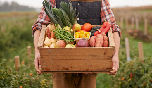 Alimentazione